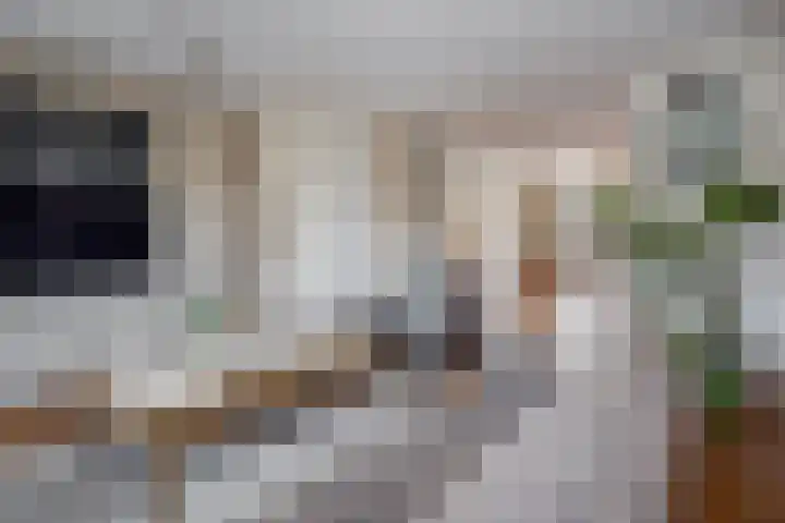 Rietzanger 32 Hoogkarspel thumbnail 4