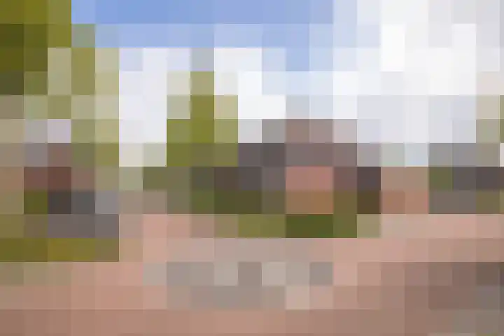 Rietzanger 32 Hoogkarspel thumbnail 40