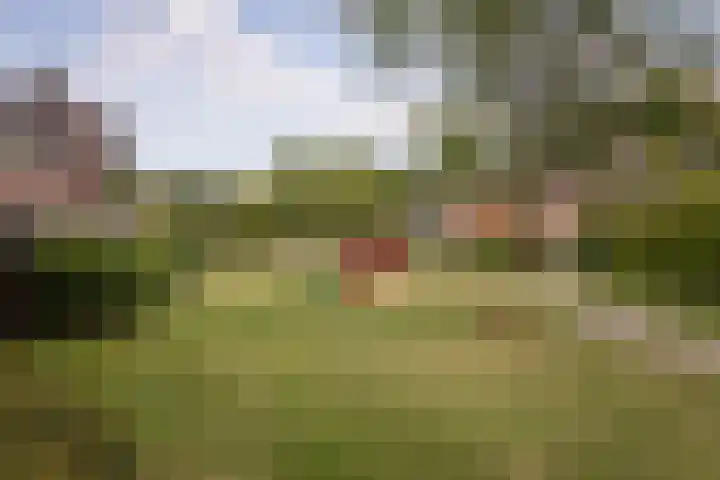 Rietzanger 32 Hoogkarspel thumbnail 41