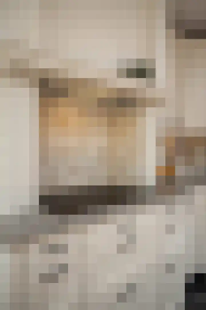 Rietzanger 32 Hoogkarspel thumbnail 50