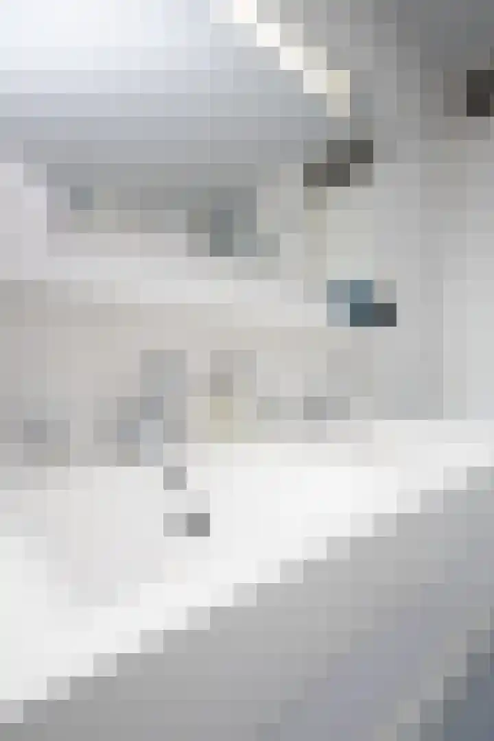 Rietzanger 32 Hoogkarspel thumbnail 52