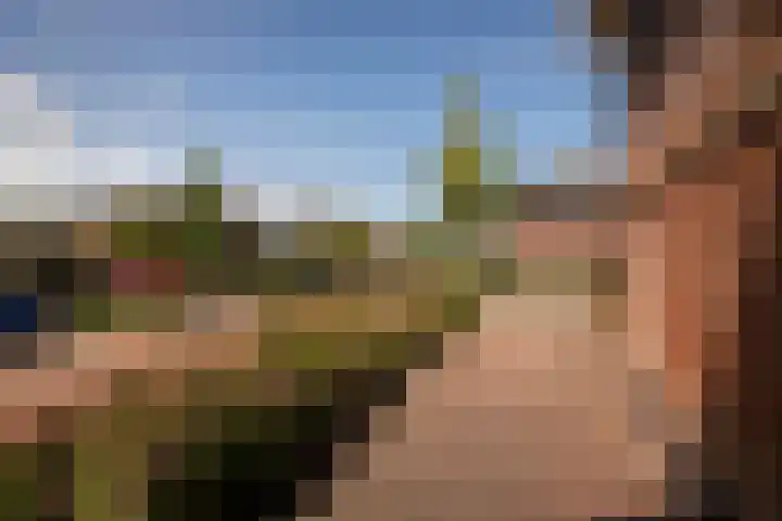 Rietzanger 32 Hoogkarspel thumbnail 6