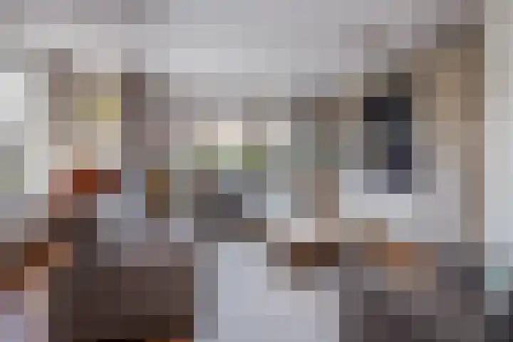 Rietzanger 32 Hoogkarspel thumbnail 8