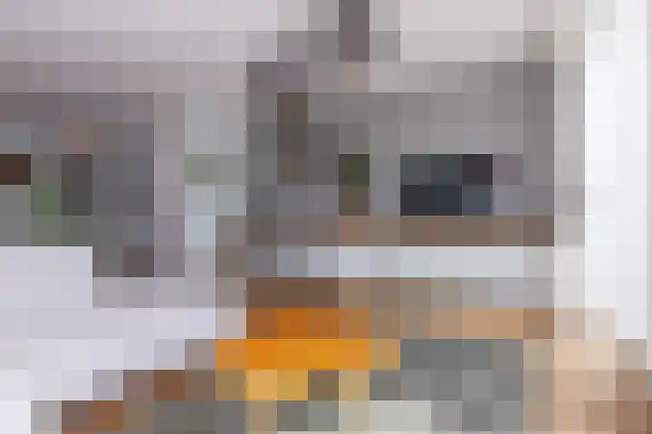 Rietzanger 38 Hoogkarspel thumbnail 10