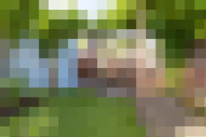 Rietzanger 38 Hoogkarspel thumbnail 13