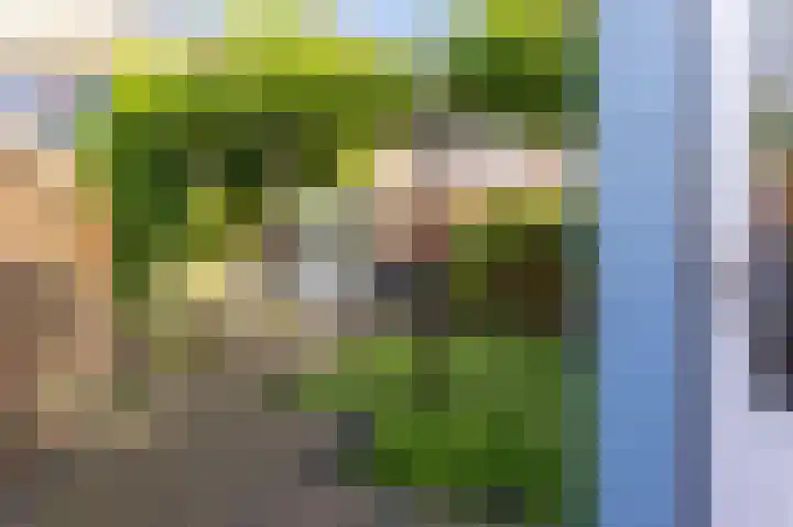 Rietzanger 38 Hoogkarspel thumbnail 14