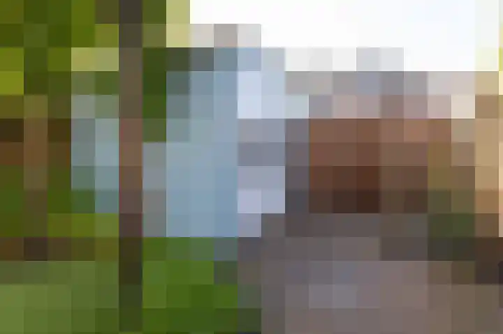 Rietzanger 38 Hoogkarspel thumbnail 15