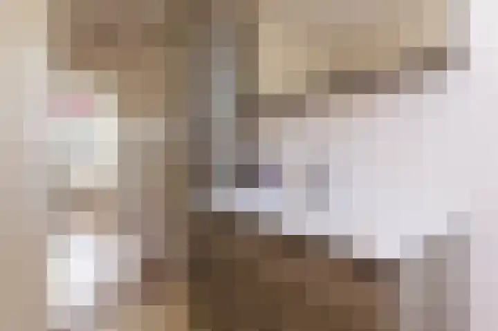 Rietzanger 38 Hoogkarspel thumbnail 23