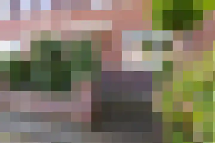 Rietzanger 38 Hoogkarspel thumbnail 5