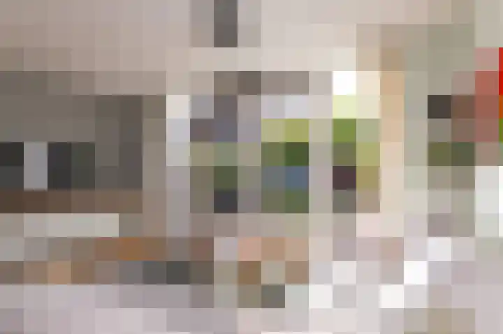 Rietzanger 38 Hoogkarspel thumbnail 7