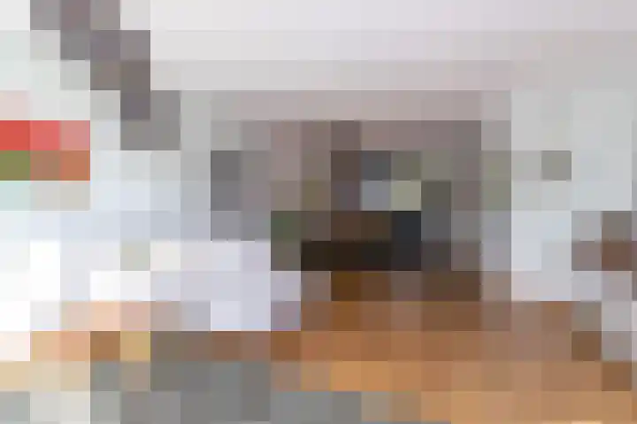 Rietzanger 38 Hoogkarspel thumbnail 8