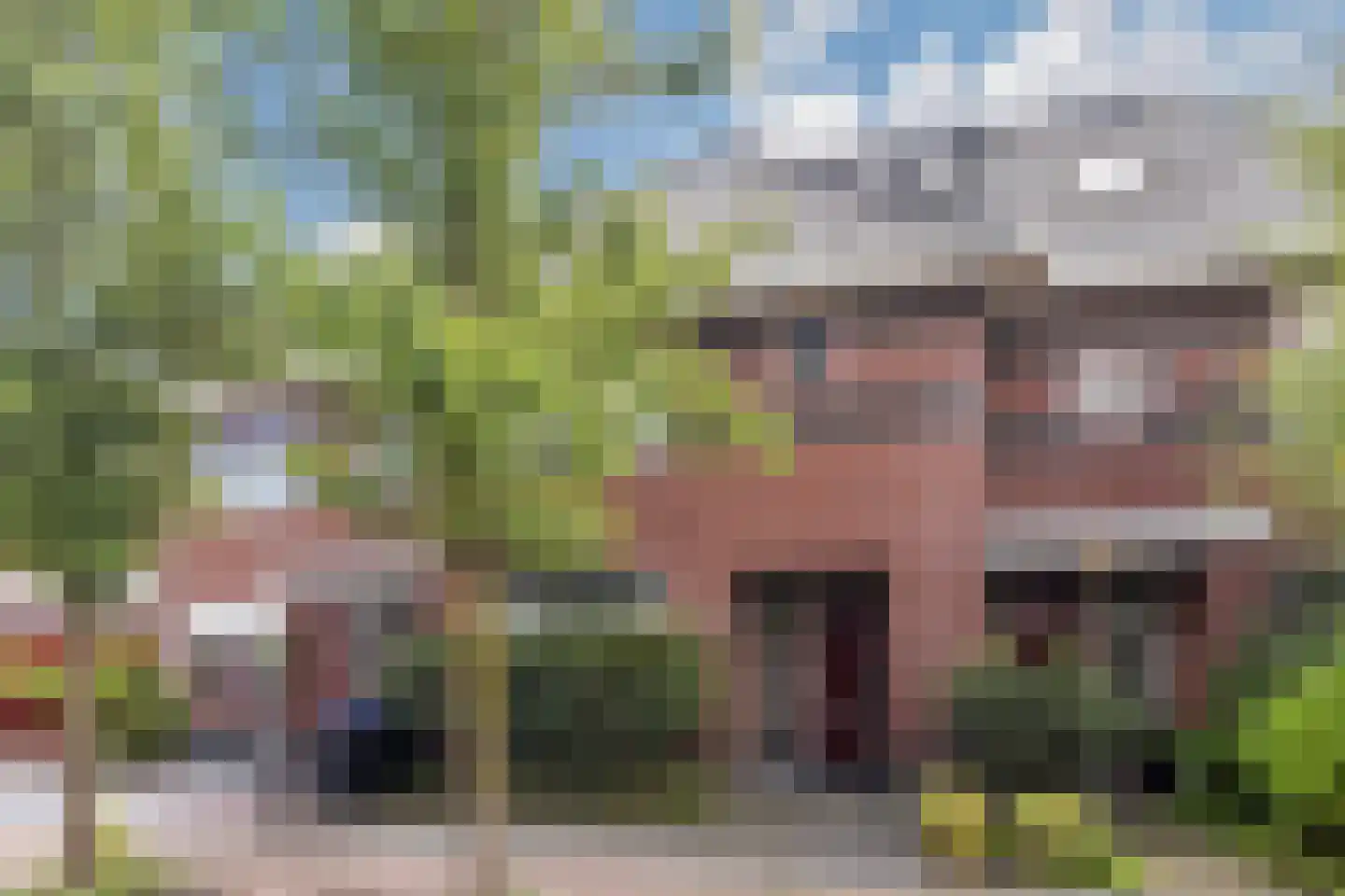 Rietzanger 4 Koudekerk aan den Rijn