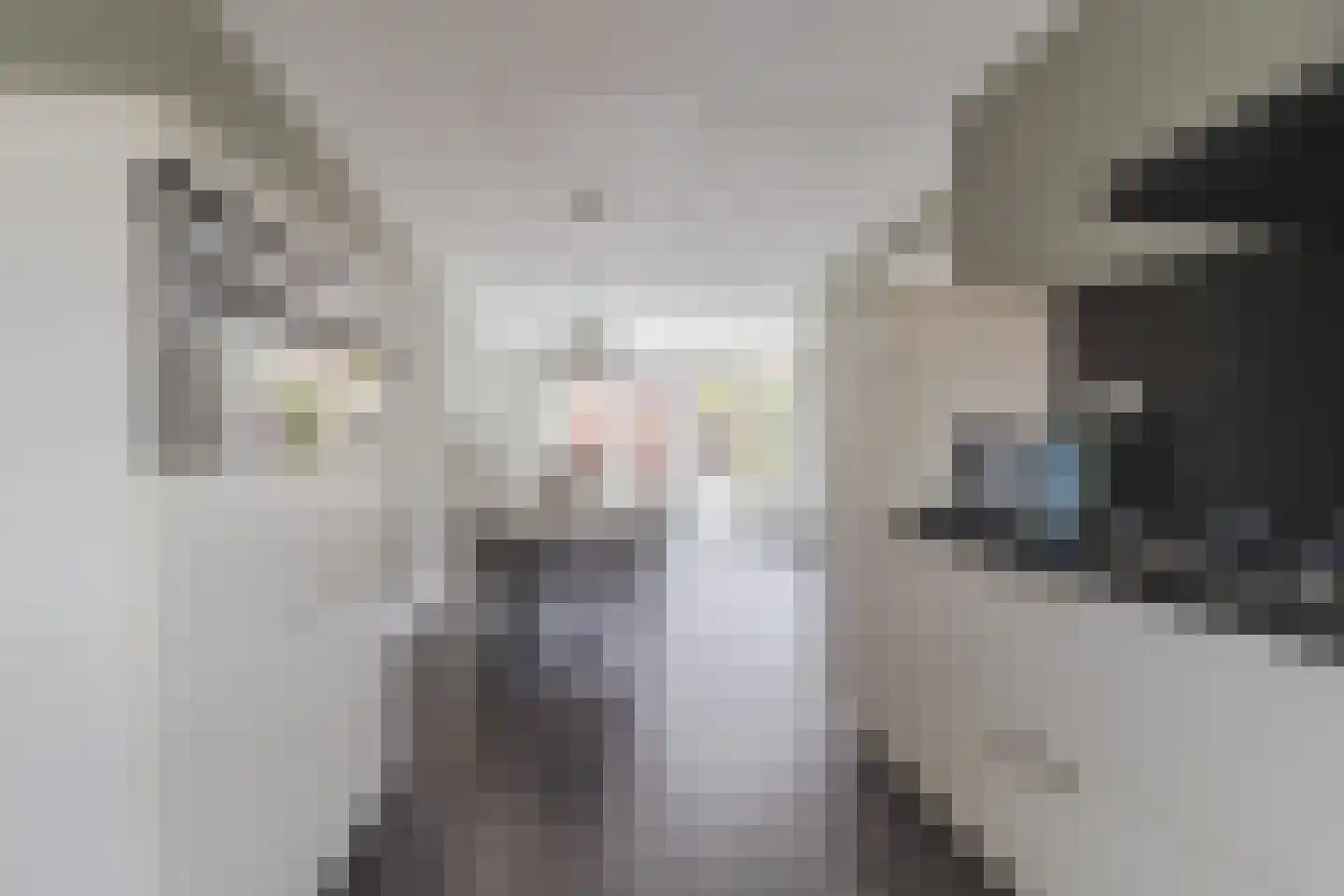 Rietzanger 4 Koudekerk aan den Rijn thumbnail 18