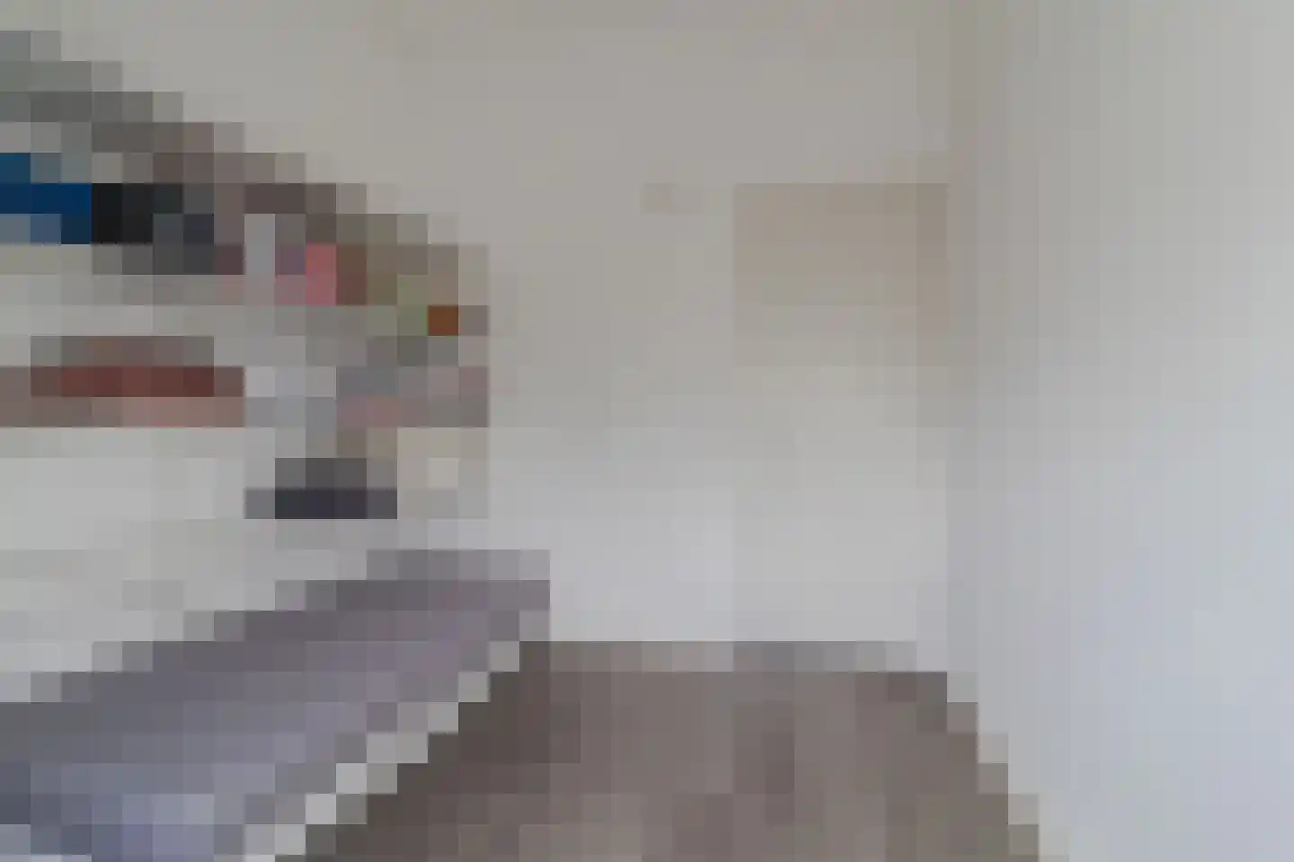 Rietzanger 4 Koudekerk aan den Rijn thumbnail 37