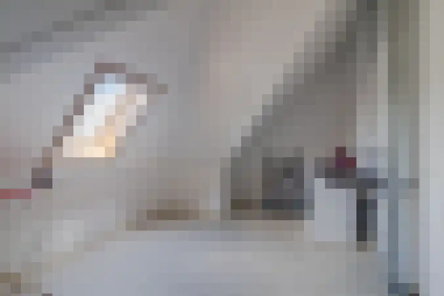 Rietzanger 4 Koudekerk aan den Rijn thumbnail 38