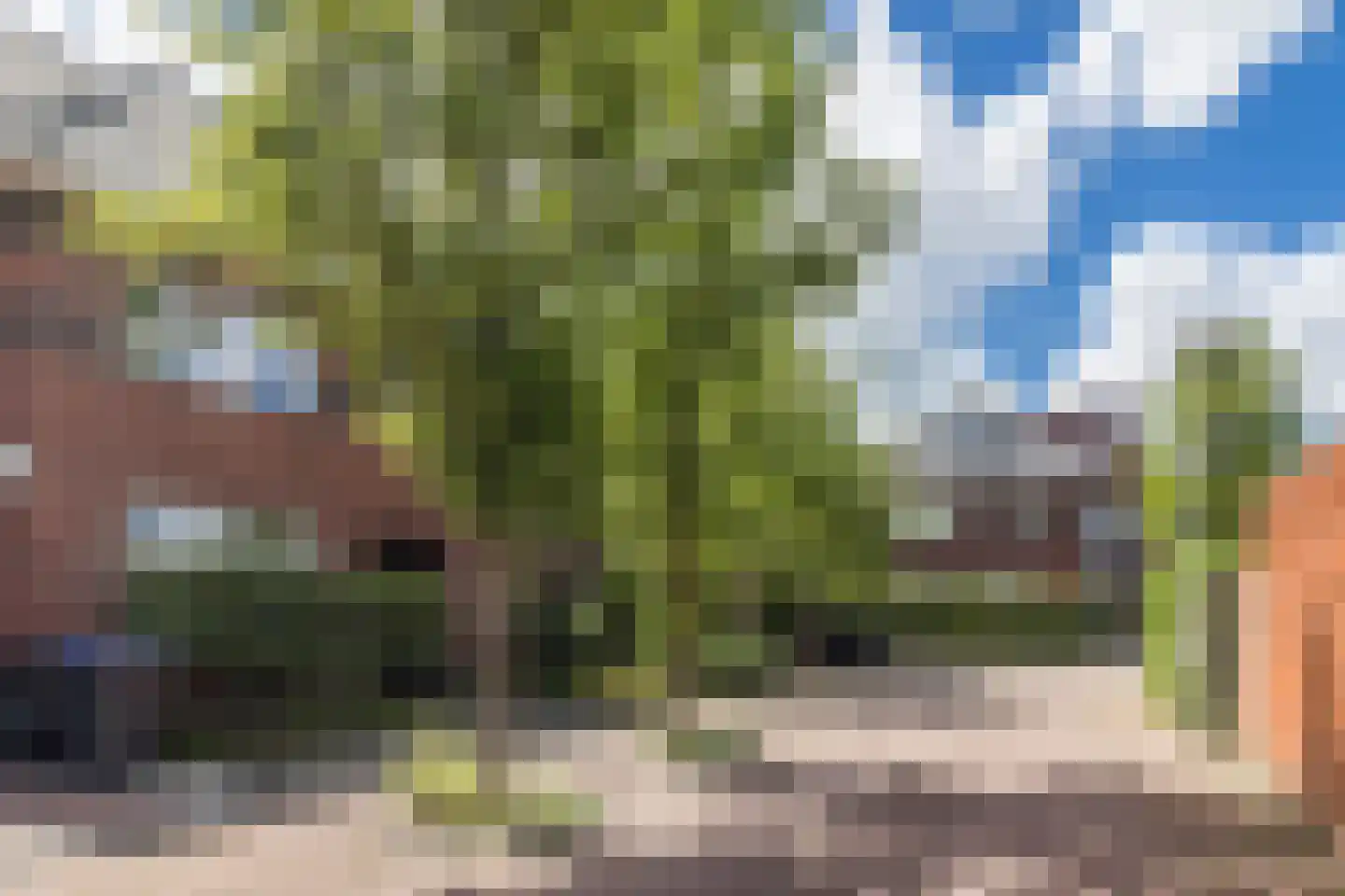 Rietzanger 4 Koudekerk aan den Rijn thumbnail 45