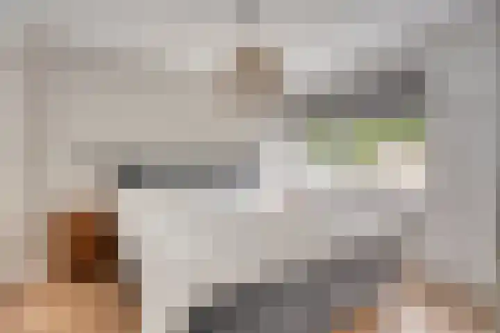 Rietzanger 5 Veenendaal thumbnail 13