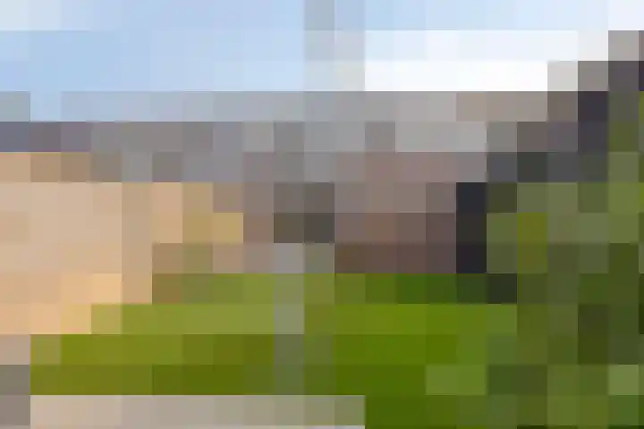 Rietzanger 5 Veenendaal thumbnail 23