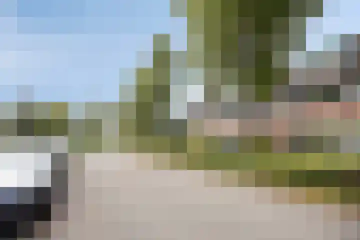 Rietzanger 5 Veenendaal thumbnail 25