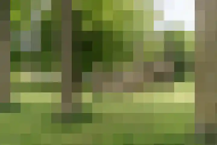 Rietzanger 5 Veenendaal thumbnail 26