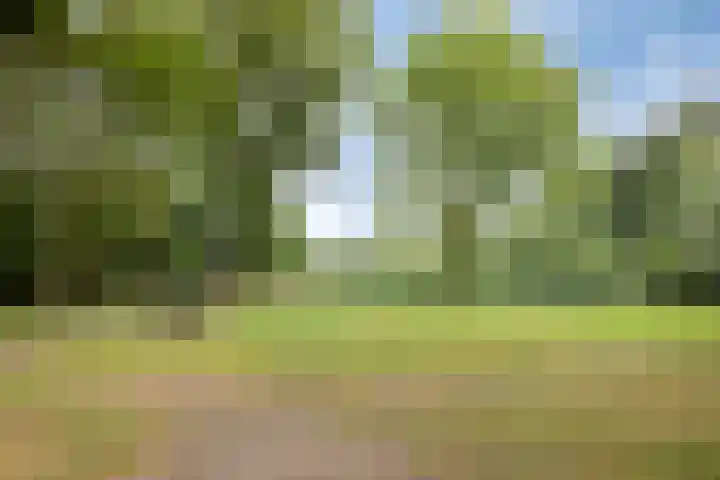 Rietzanger 5 Veenendaal thumbnail 28