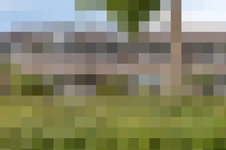 Rietzanger 5 Veenendaal thumbnail 34