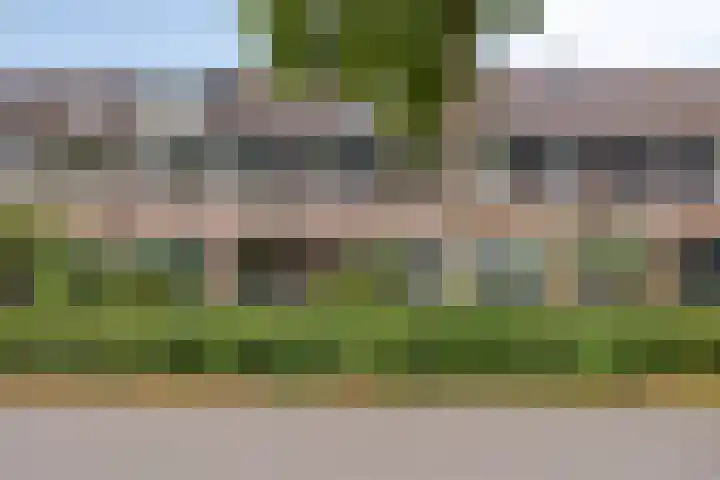 Rietzanger 5 Veenendaal thumbnail 4