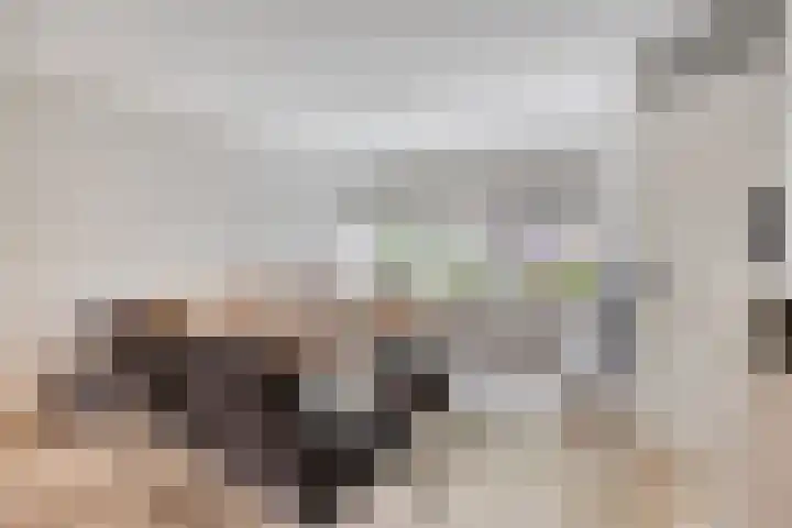 Rietzanger 5 Veenendaal thumbnail 6