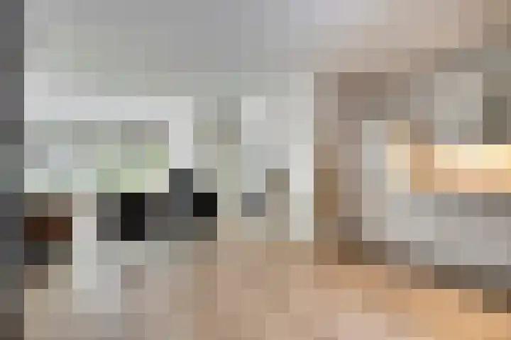 Rietzanger 5 Veenendaal thumbnail 9