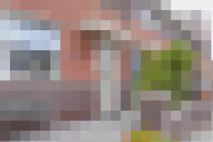 Rietzanger 52 Hoogkarspel thumbnail 11