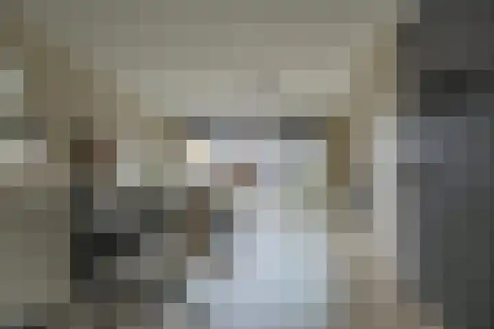 Rietzanger 52 Hoogkarspel thumbnail 12