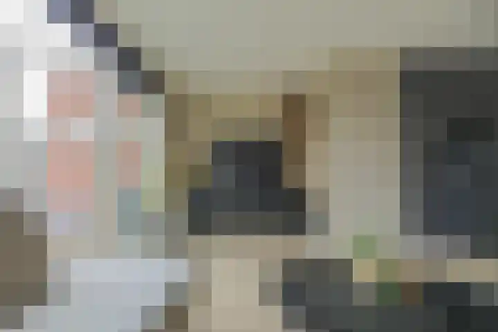 Rietzanger 52 Hoogkarspel thumbnail 14