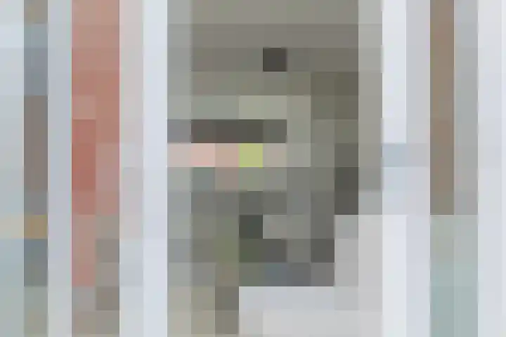 Rietzanger 52 Hoogkarspel thumbnail 15
