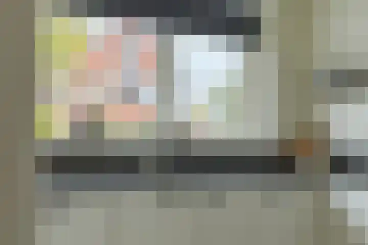 Rietzanger 52 Hoogkarspel thumbnail 17