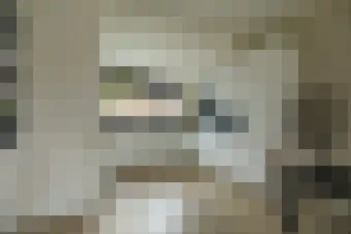 Rietzanger 52 Hoogkarspel thumbnail 19