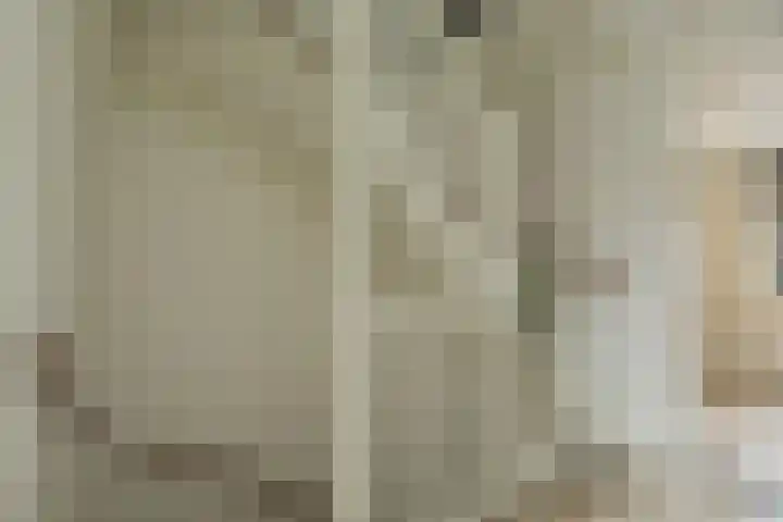 Rietzanger 52 Hoogkarspel thumbnail 21