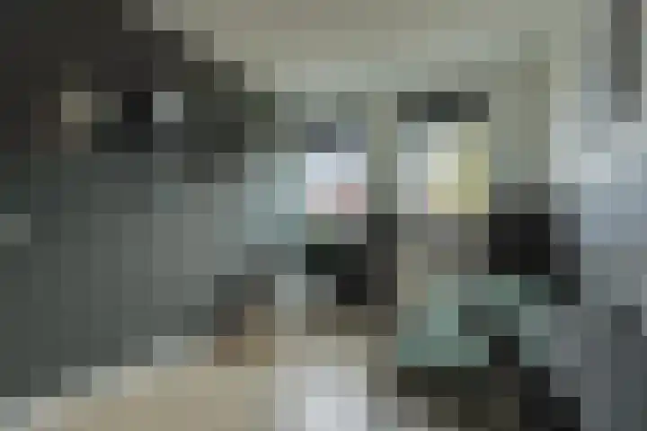 Rietzanger 52 Hoogkarspel thumbnail 23
