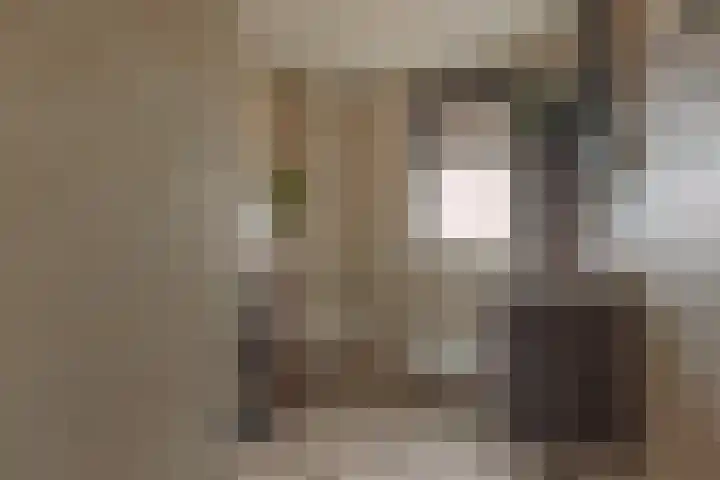 Rietzanger 52 Hoogkarspel thumbnail 25