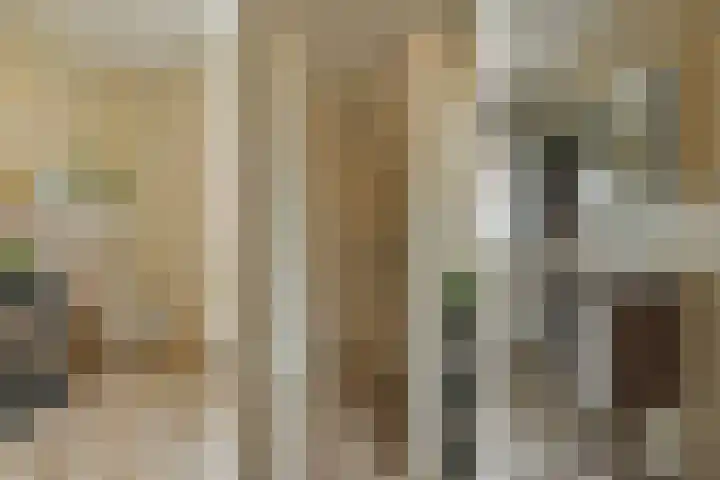 Rietzanger 52 Hoogkarspel thumbnail 26