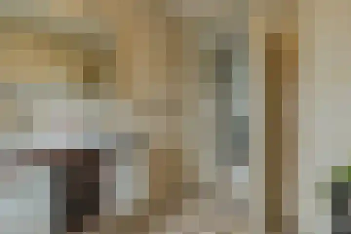 Rietzanger 52 Hoogkarspel thumbnail 27