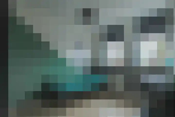Rietzanger 52 Hoogkarspel thumbnail 28