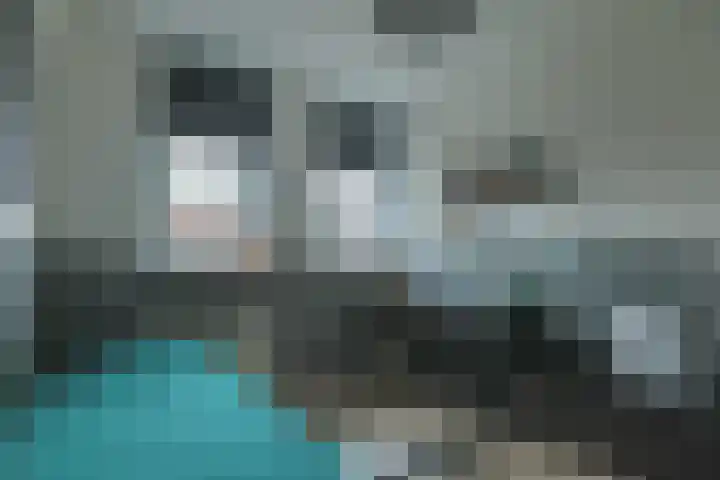 Rietzanger 52 Hoogkarspel thumbnail 29