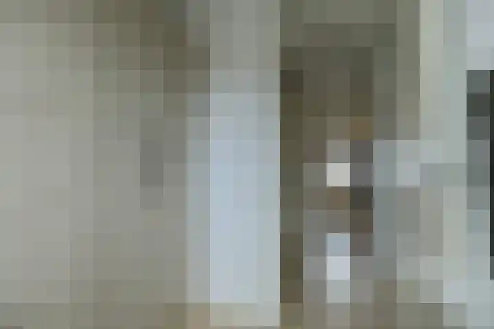 Rietzanger 52 Hoogkarspel thumbnail 32