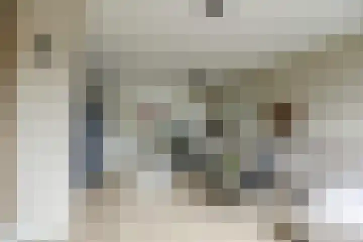 Rietzanger 52 Hoogkarspel thumbnail 4