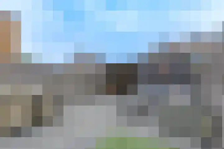 Rietzanger 52 Hoogkarspel thumbnail 40