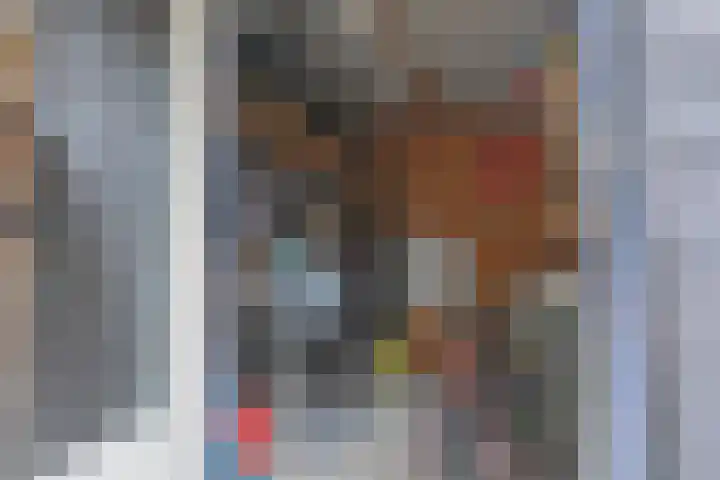 Rietzanger 52 Hoogkarspel thumbnail 43