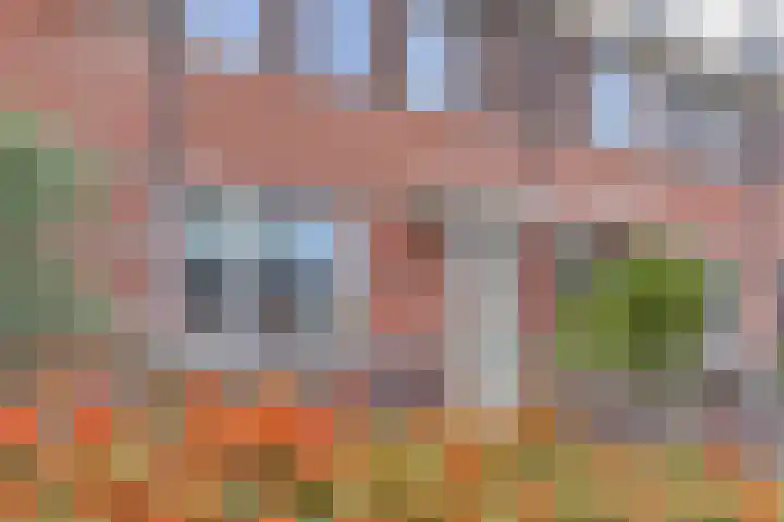 Rietzanger 52 Hoogkarspel thumbnail 45