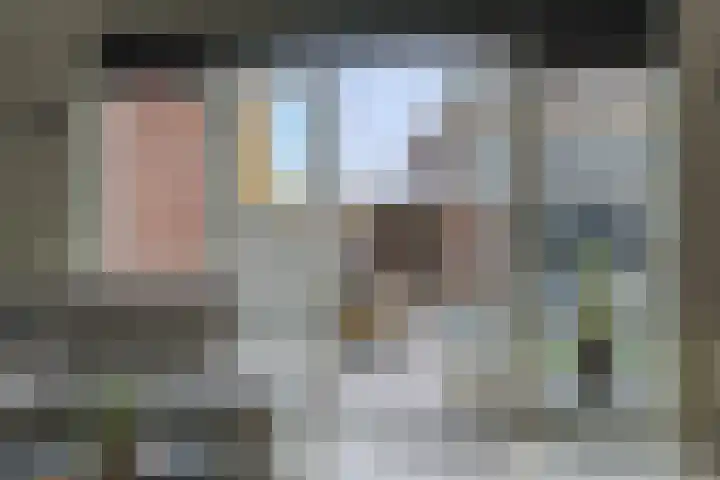 Rietzanger 52 Hoogkarspel thumbnail 6
