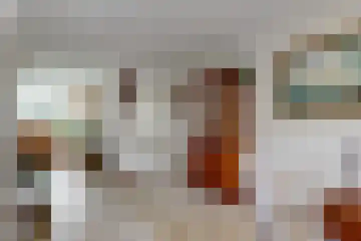 Rietzanger 55 Hoorn thumbnail 11