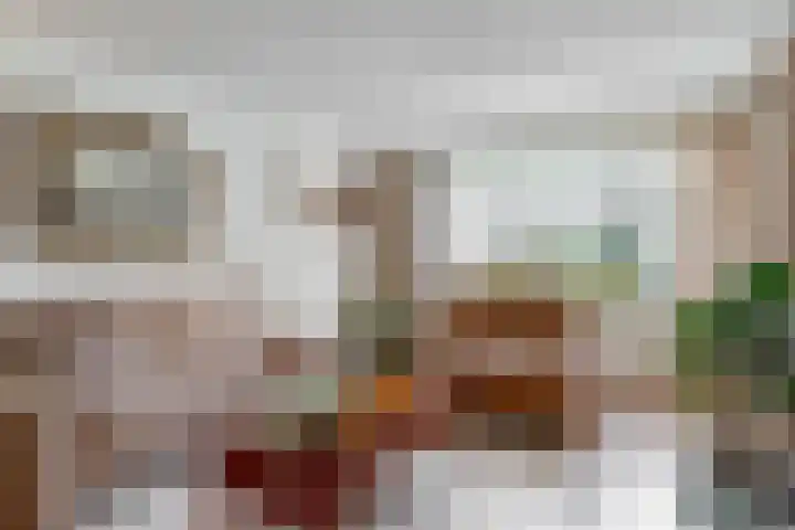 Rietzanger 55 Hoorn thumbnail 12
